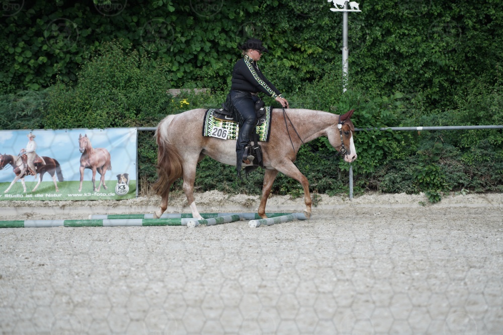 s_APF06611.jpg
